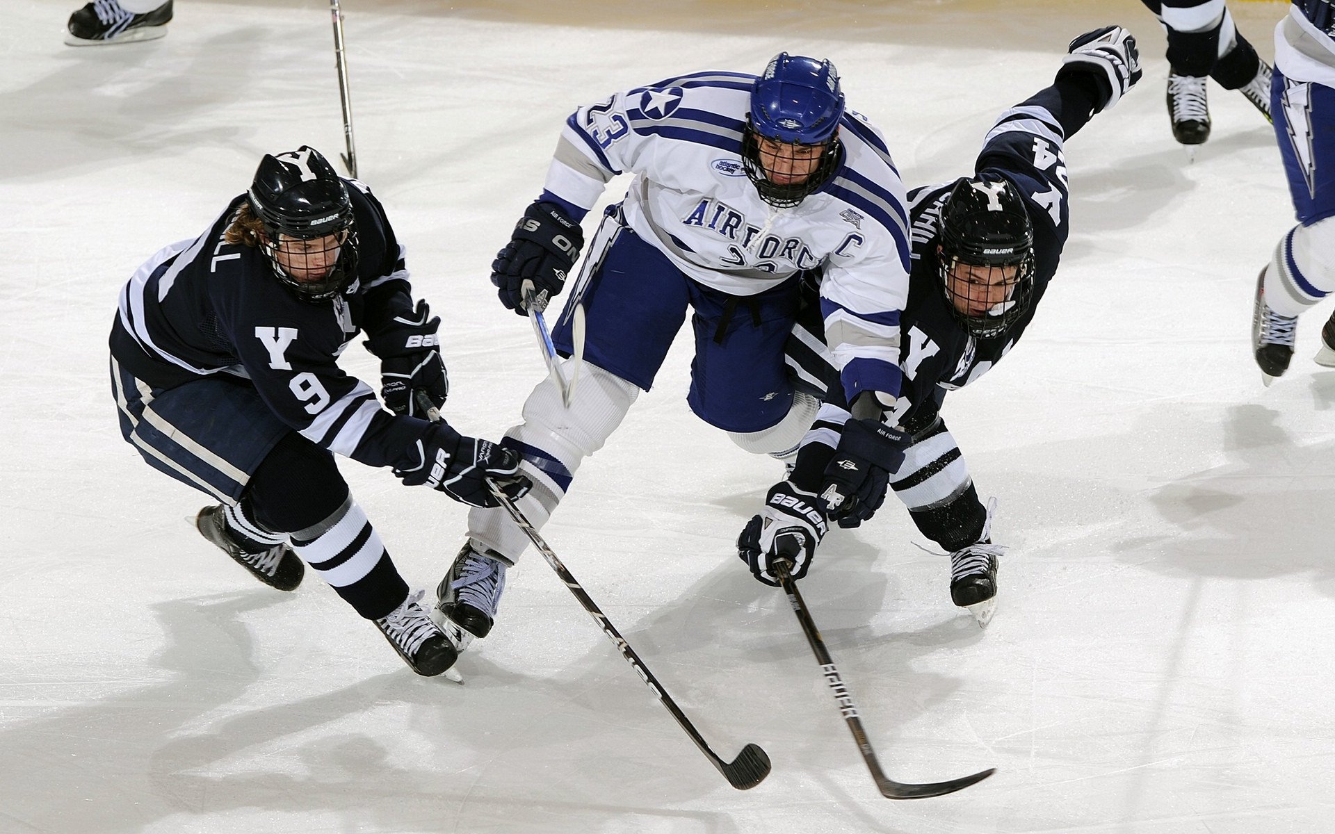 欧冠淘汰赛焦点战，黄蜂末节带走掘金，战术博弈与意志胜利